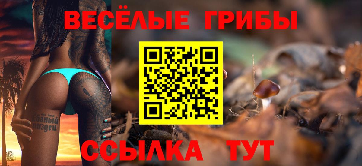 Галлюциногенные грибы мухоморы Кыштым